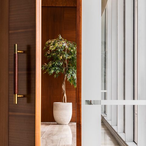 News Doorway Windows Plant